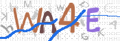 この文字を入力してください