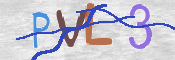この文字を入力してください