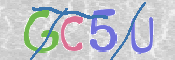 この文字を入力してください