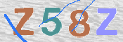 この文字を入力してください