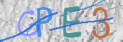 この文字を入力してください