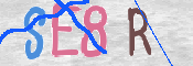 この文字を入力してください