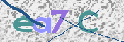 この文字を入力してください