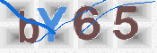 この文字を入力してください