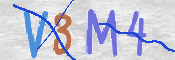 この文字を入力してください