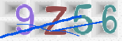 この文字を入力してください