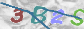この文字を入力してください
