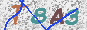 この文字を入力してください