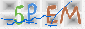 この文字を入力してください