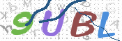この文字を入力してください