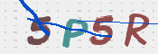 この文字を入力してください