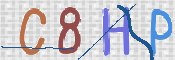 この文字を入力してください