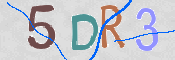この文字を入力してください