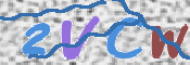 この文字を入力してください