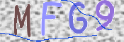 この文字を入力してください