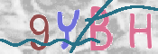この文字を入力してください