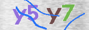 この文字を入力してください