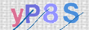 この文字を入力してください