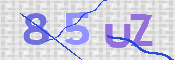 この文字を入力してください