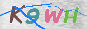 この文字を入力してください