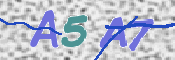この文字を入力してください