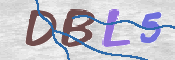 この文字を入力してください