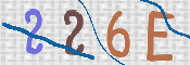 この文字を入力してください