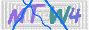 この文字を入力してください