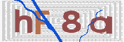 この文字を入力してください