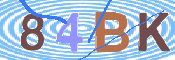 この文字を入力してください