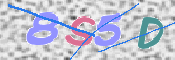 この文字を入力してください