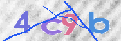この文字を入力してください