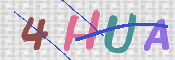 この文字を入力してください