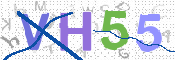 この文字を入力してください
