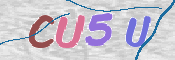この文字を入力してください