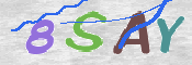 この文字を入力してください