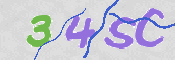この文字を入力してください