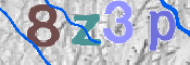 この文字を入力してください