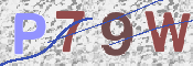 この文字を入力してください