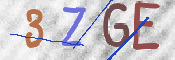 この文字を入力してください