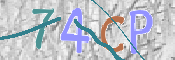 この文字を入力してください