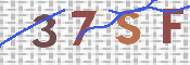 この文字を入力してください