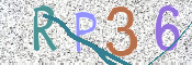 この文字を入力してください