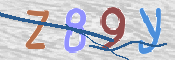 この文字を入力してください