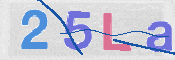この文字を入力してください