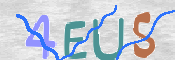 この文字を入力してください