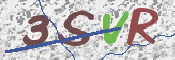 この文字を入力してください