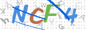 この文字を入力してください