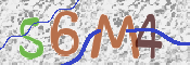 この文字を入力してください
