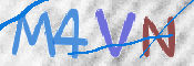 この文字を入力してください